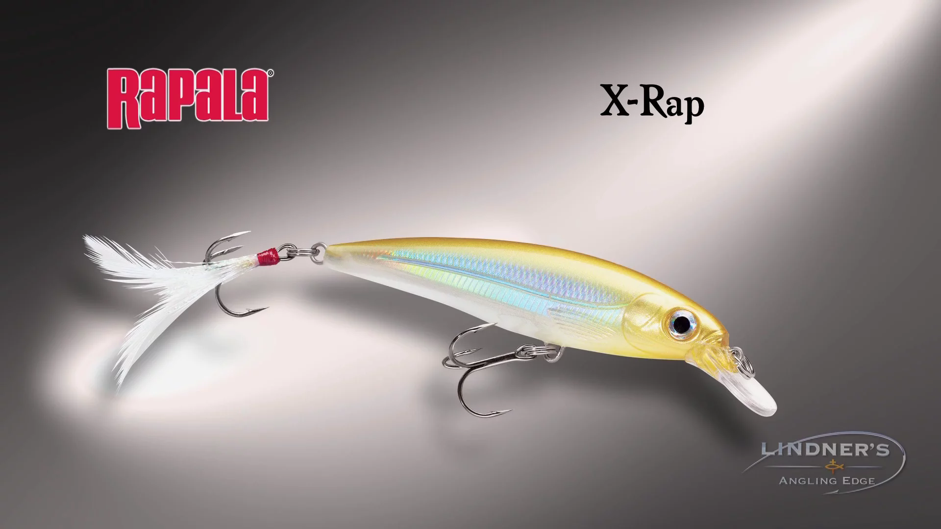 Hit the Brakes with the Rapala Rip Stop