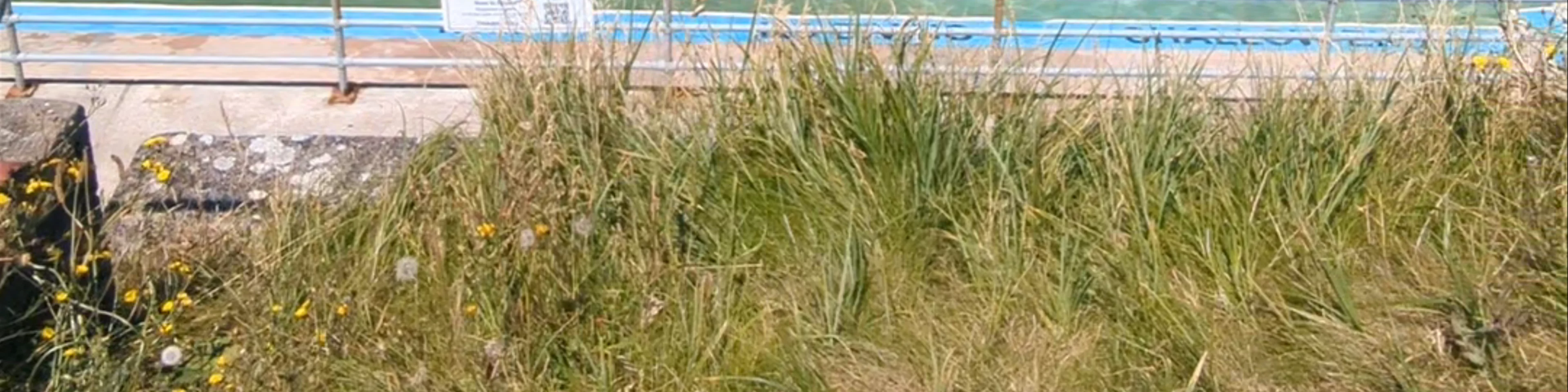 Shoalstone Seawater Pool (open May-September)