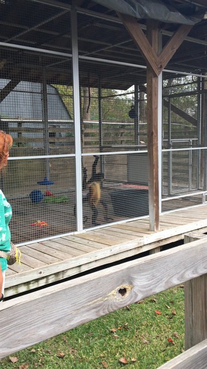 TGR Exotics Wildlife Park - Zoos Near Me - Spring, Texas
