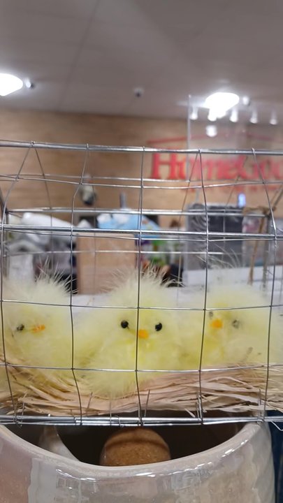 Home Goods - Home Decor Near Me - Pinole, California