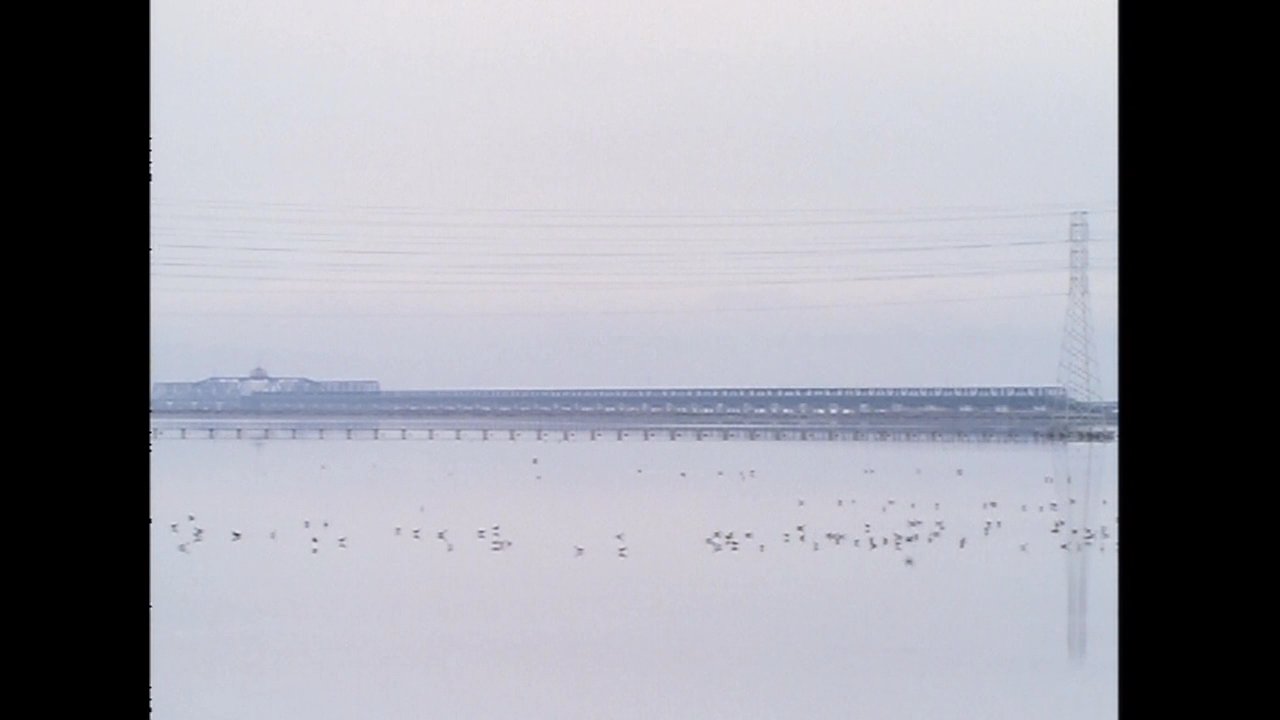 A man and woman engage in a heated late-night disagreement before the scene transitions to a wide, atmospheric view of a bridge shrouded in dense fog.