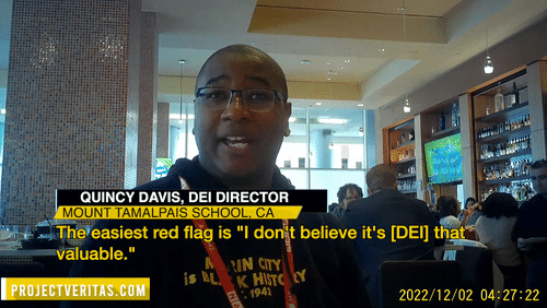 Video Thumbnail Loop