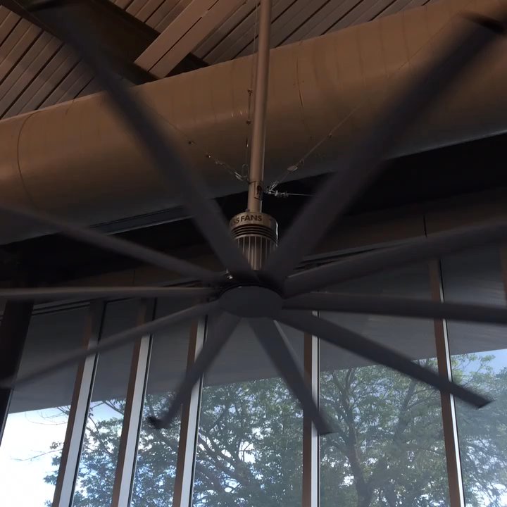 White Rock YMCA - Big ass fans keeping you cool while you work out. - Gyms Near Me - Dallas, Texas