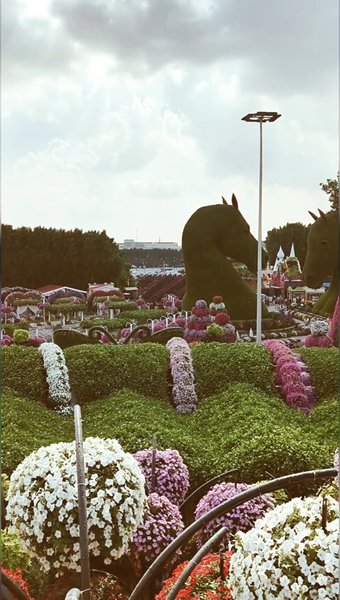 Photo of Dubai Miracle Garden