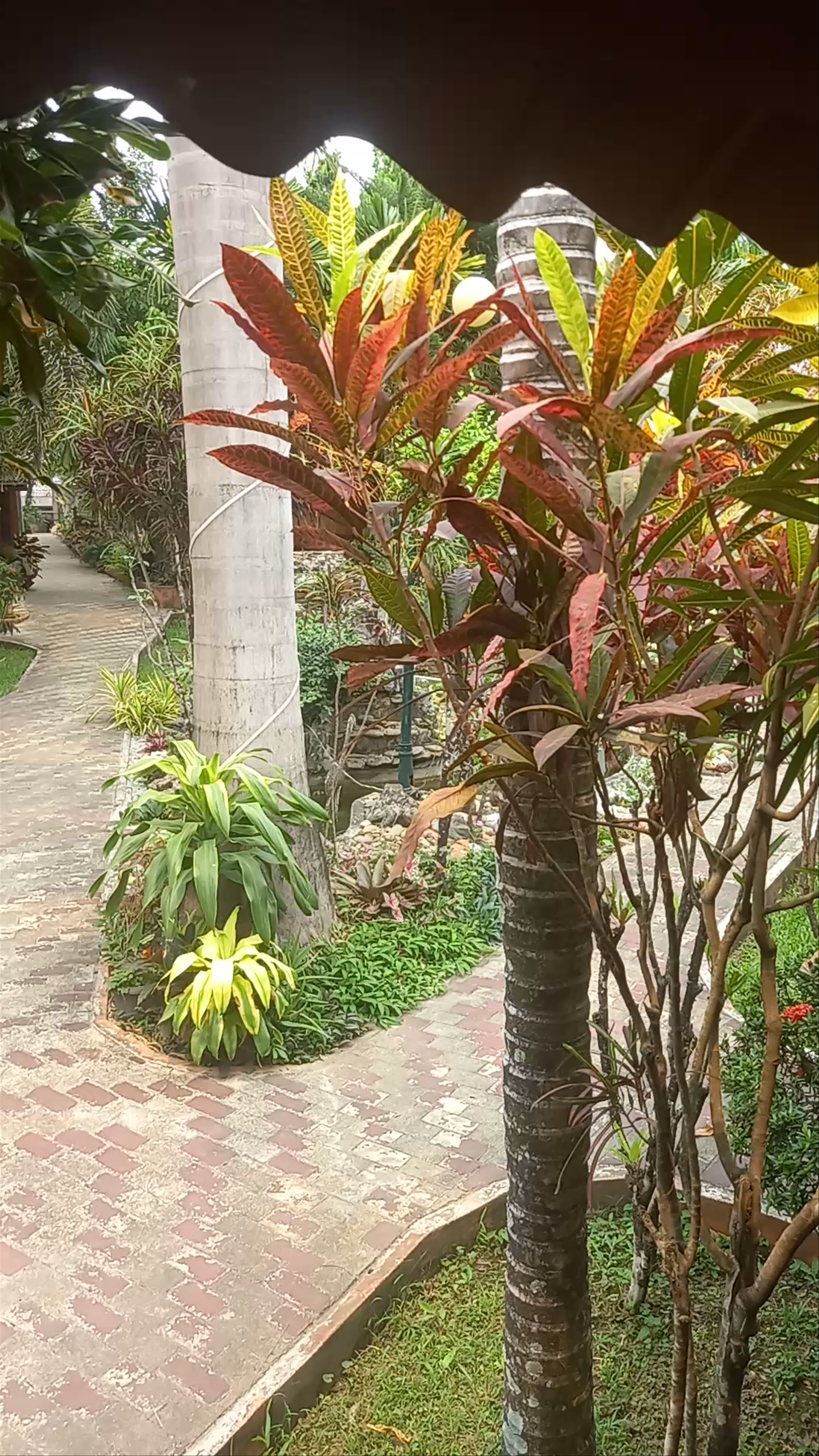 Moukdavanh Bungalow Guesthouse