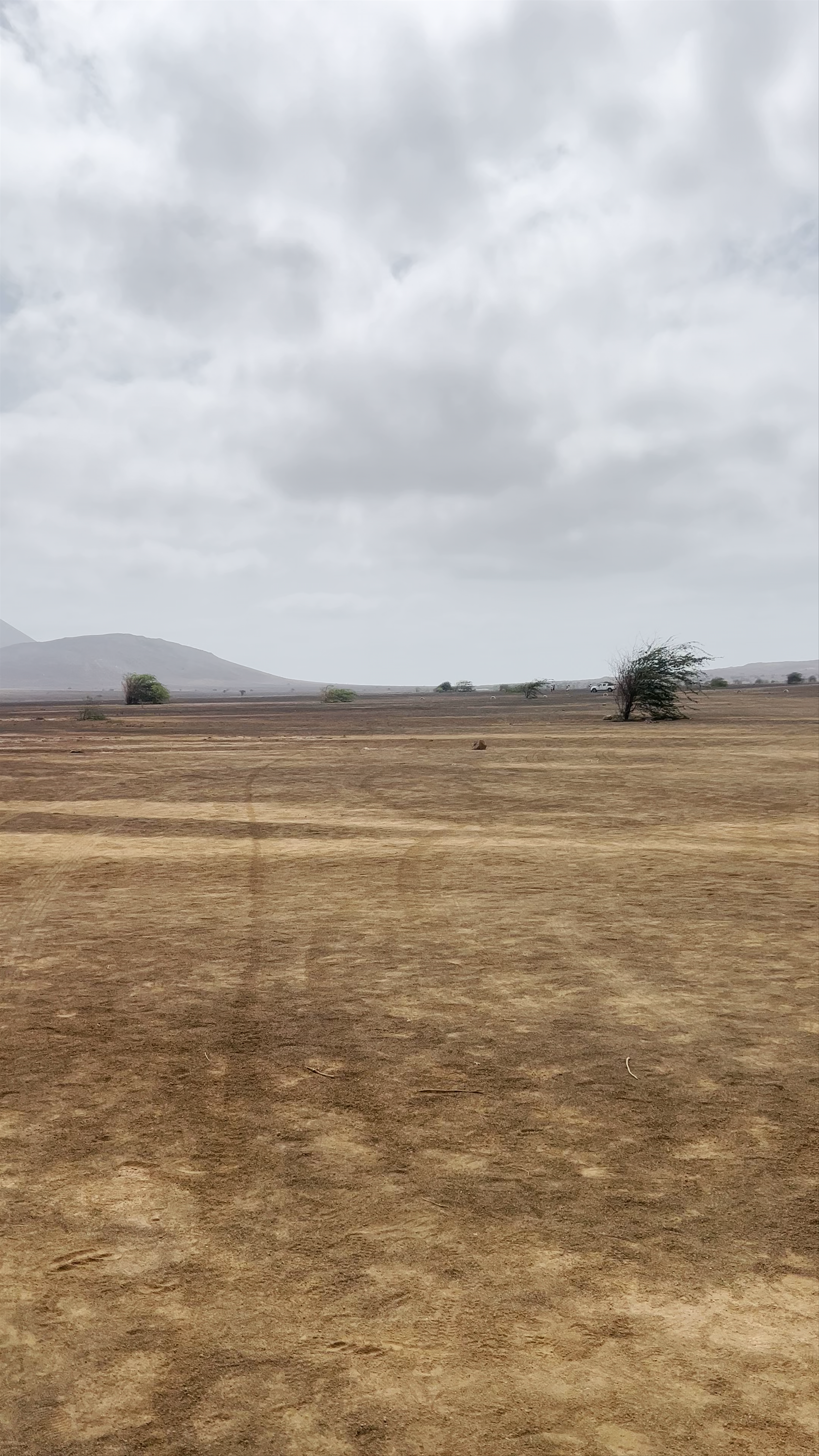 Terra Boa / Fata Morgana