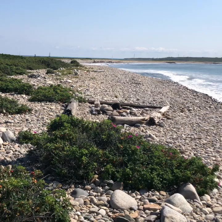 Cuttyhunk Island - One of the Rocky beaches - Landmarks & Historical Buildings Near Me