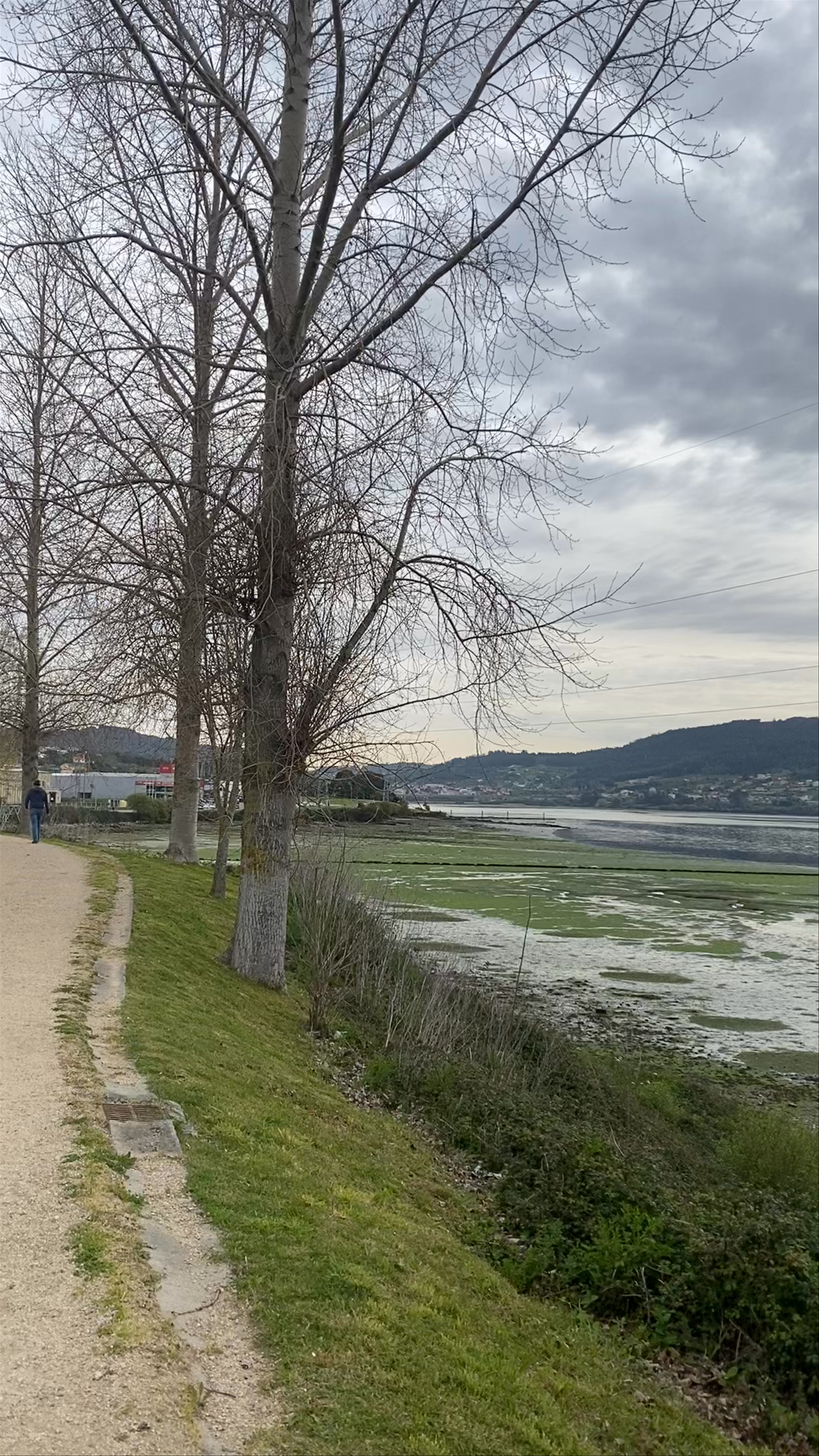 Paseo Marítimo Caranza