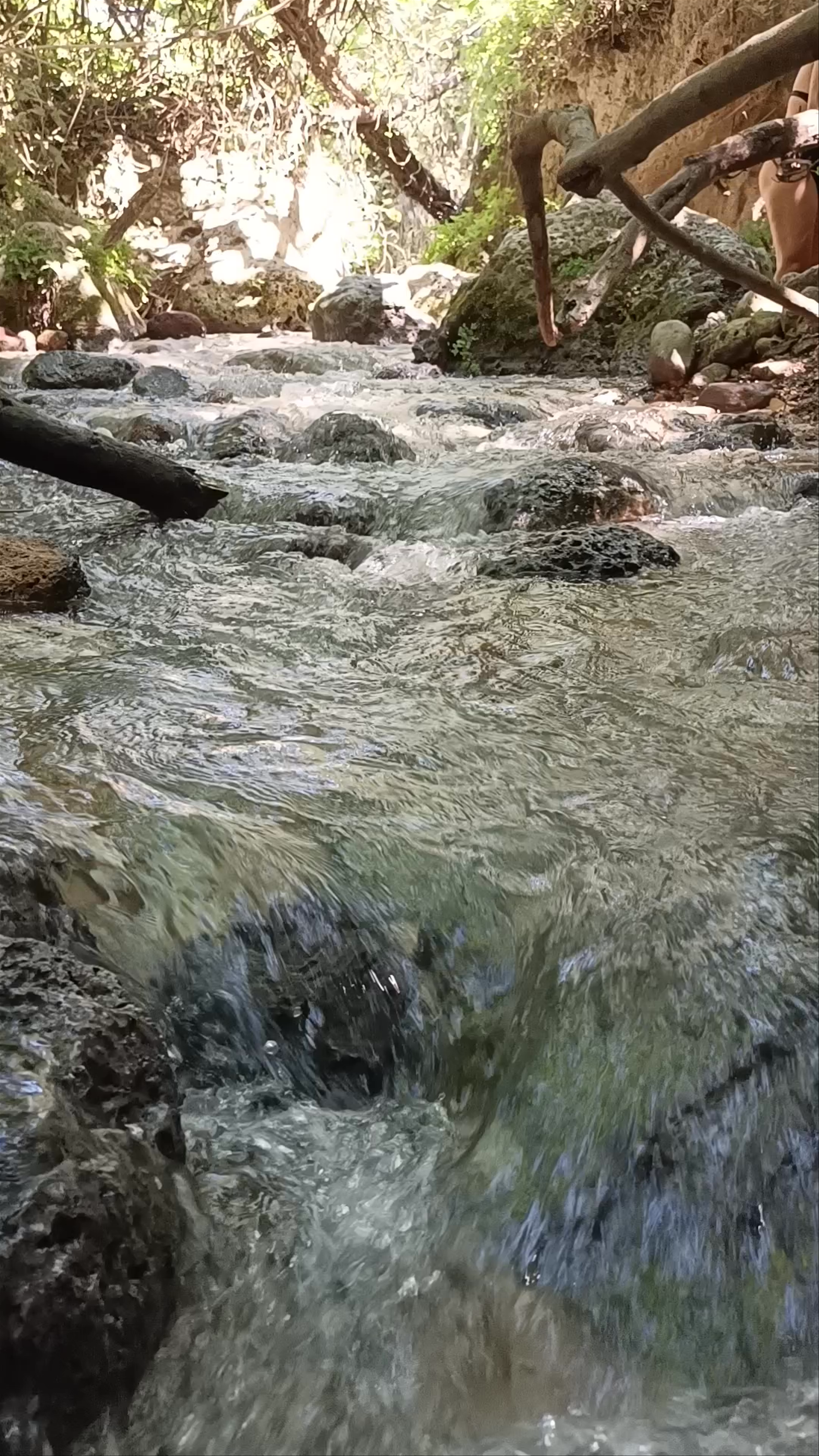 Arroyo de Letur
