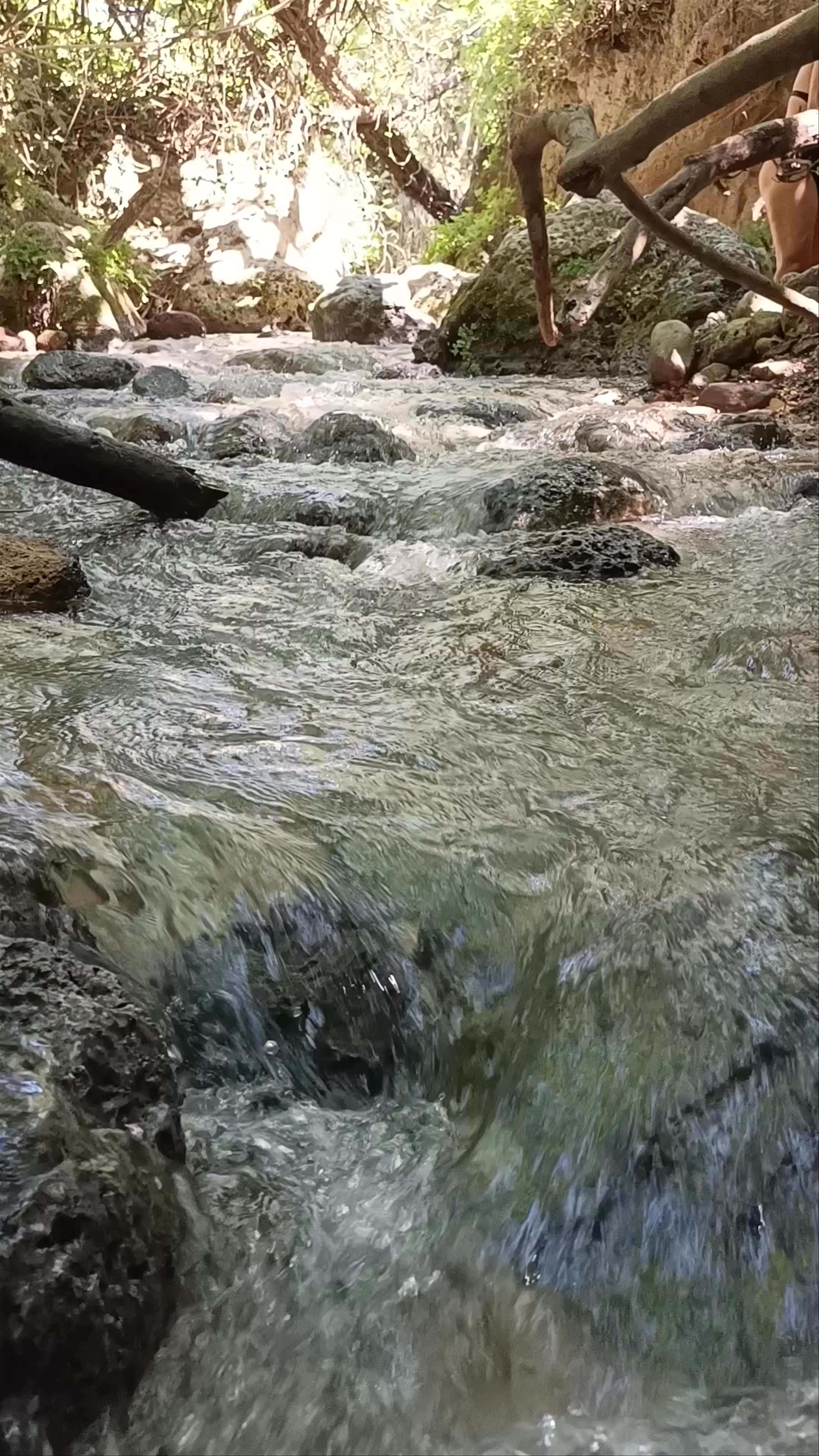 Arroyo de Letur