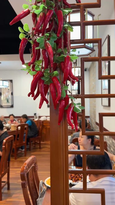 Hunan Chef - Chinese Near Me - Frisco, Texas