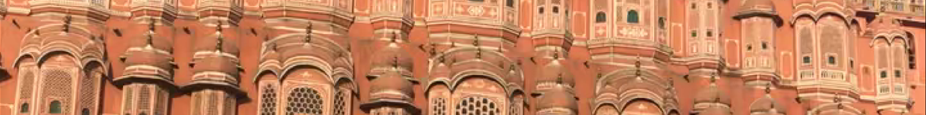 Tours & experiences in Jaipur