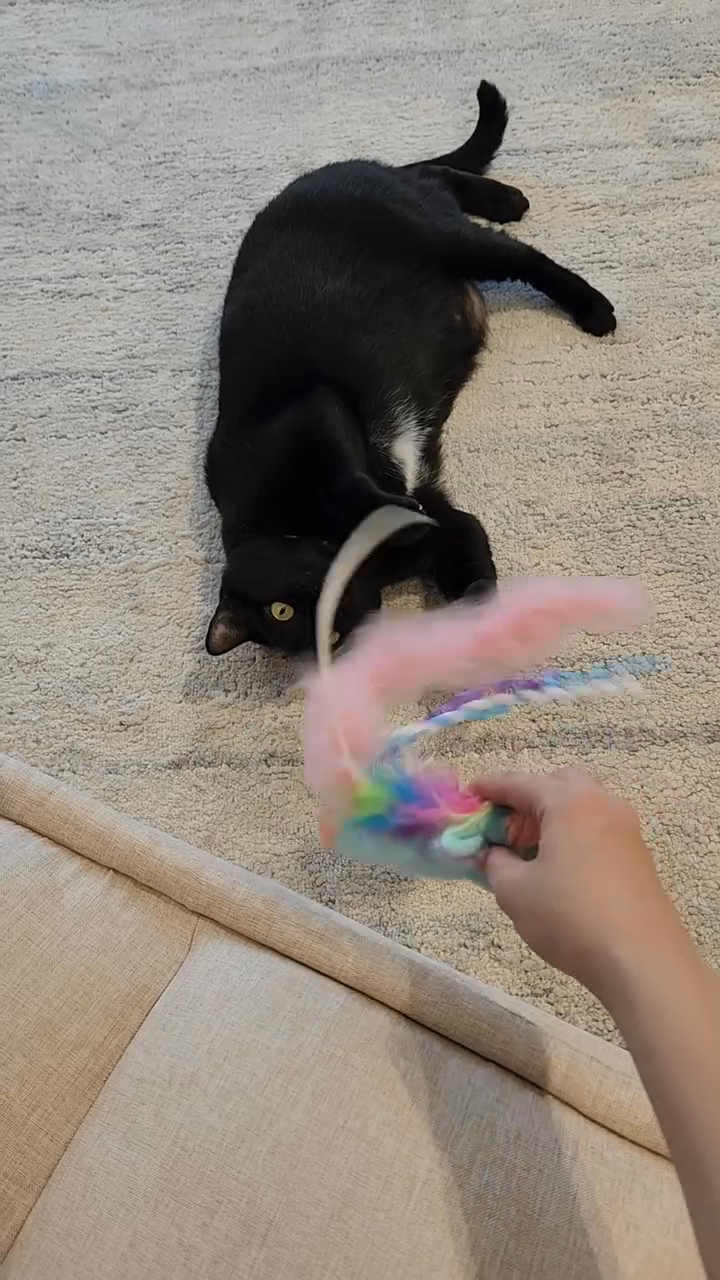 Our-new-floor-recliner!