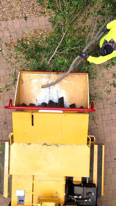 ArborCraft Tree Service - ArborCraft Tree Service cleaning up after a tree trimming job in Paradise Valley, AZ - Tree Services Near Me - Phoenix, Arizona