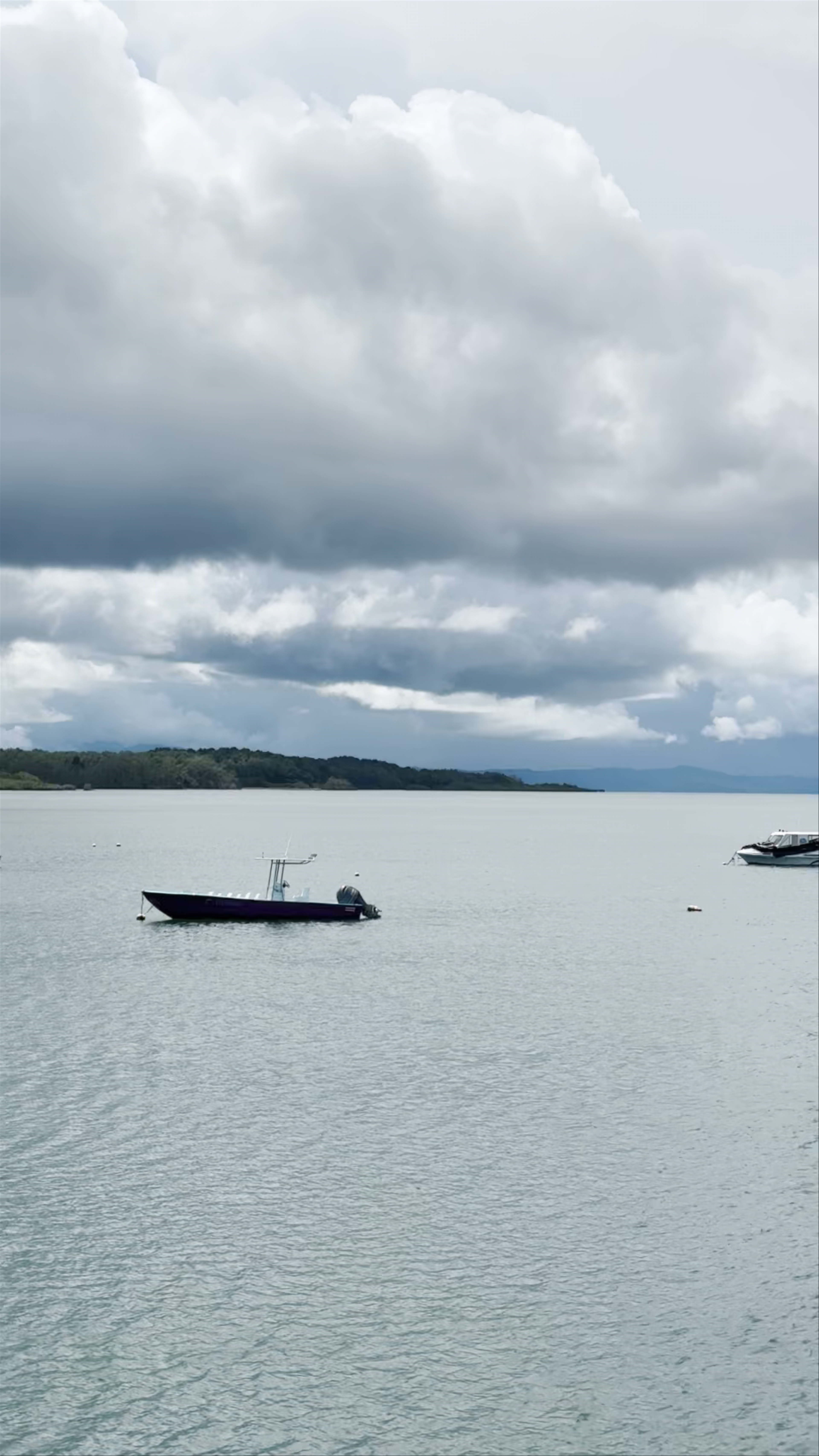 Muelle Puerto Jiménez - Publico