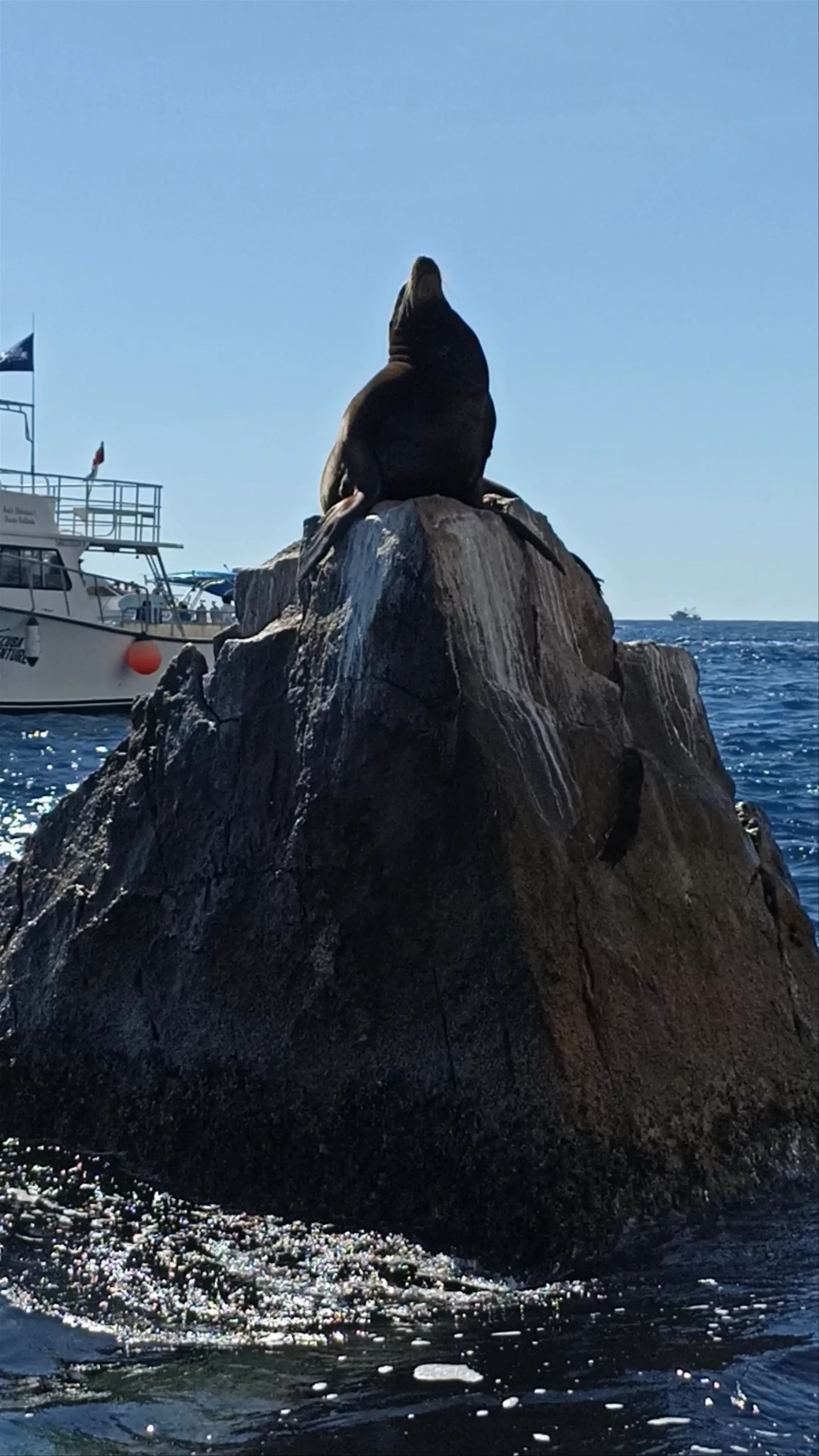 Cabo San Lucas