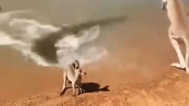 compilation compilation 🎬