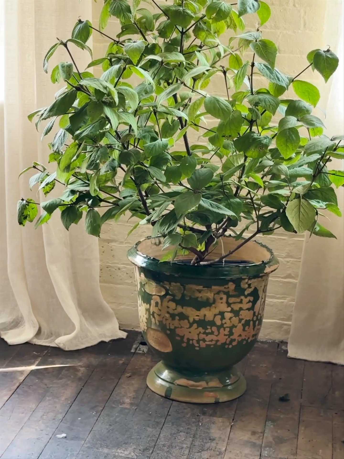 Green Glazed Planter