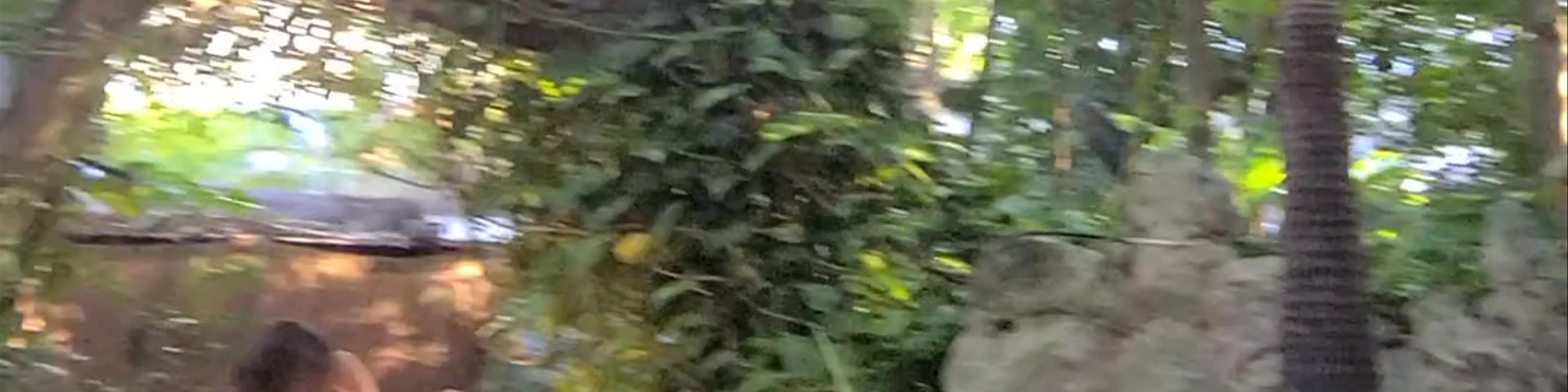 Aldea Corazón