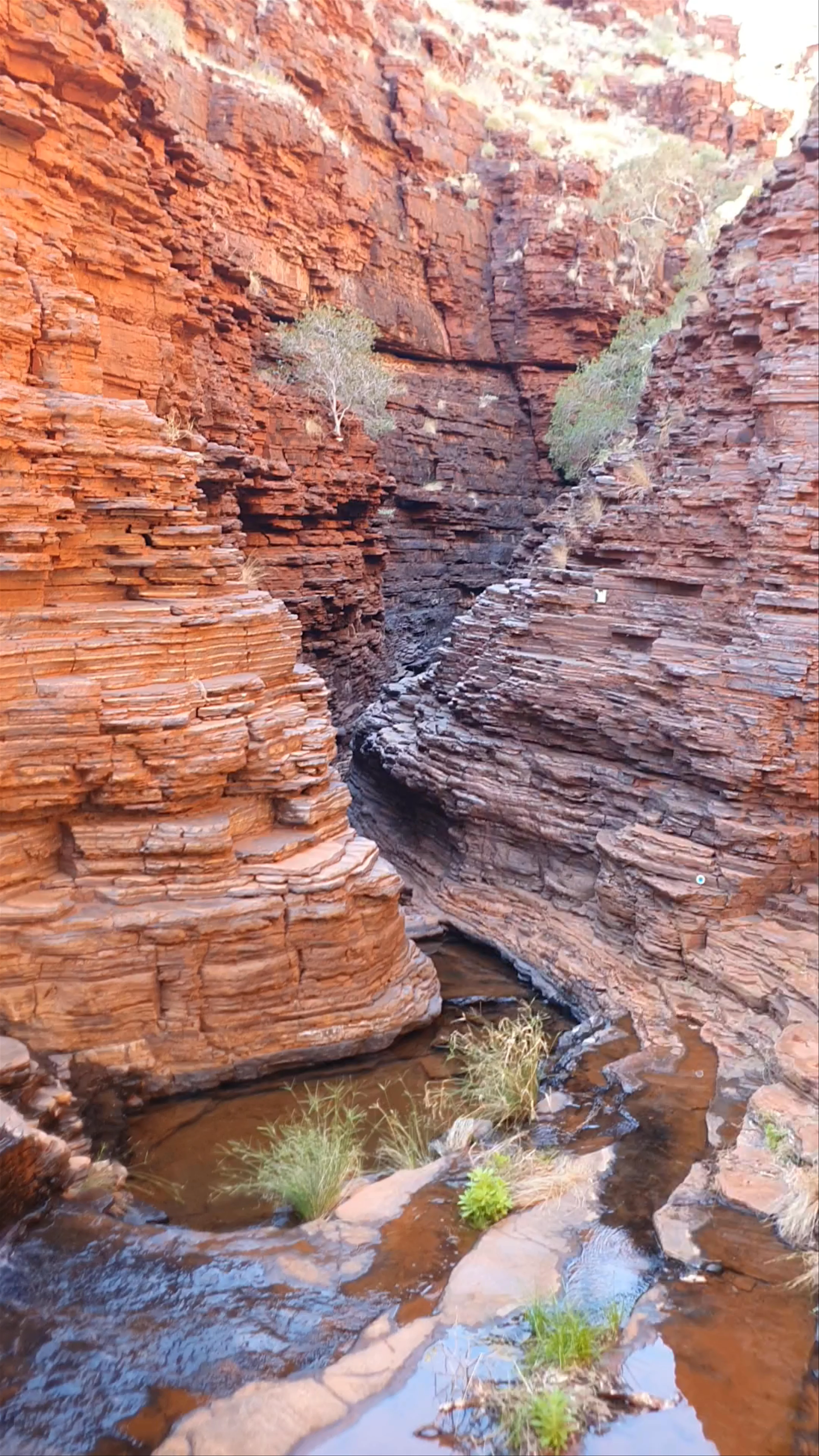 Handrail Pool, Karijini, Western Australia