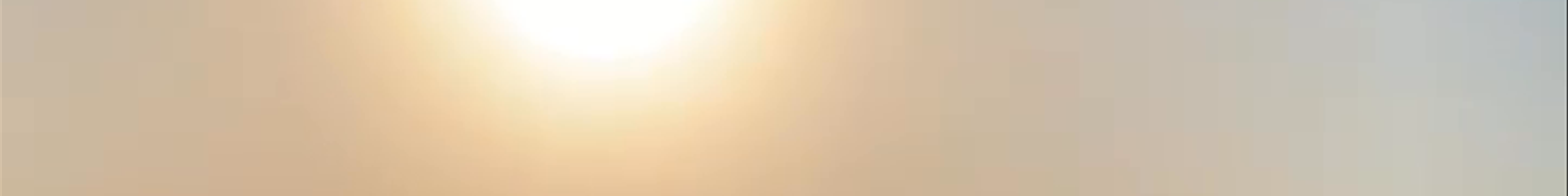 Tours & experiences in Jaisalmer