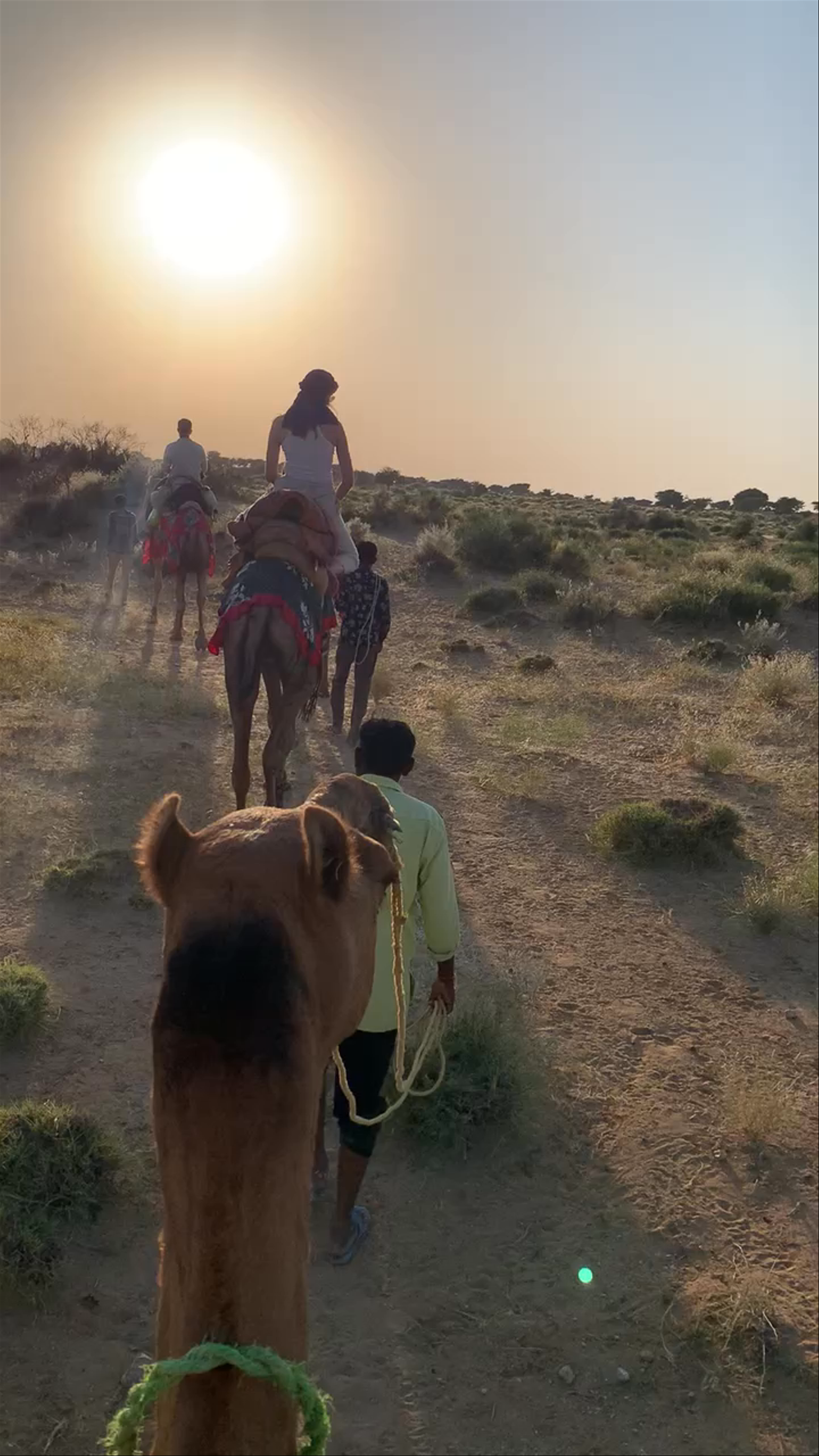 Sunset Camel Safari Adventure in the Thar Desert, Rajasthan