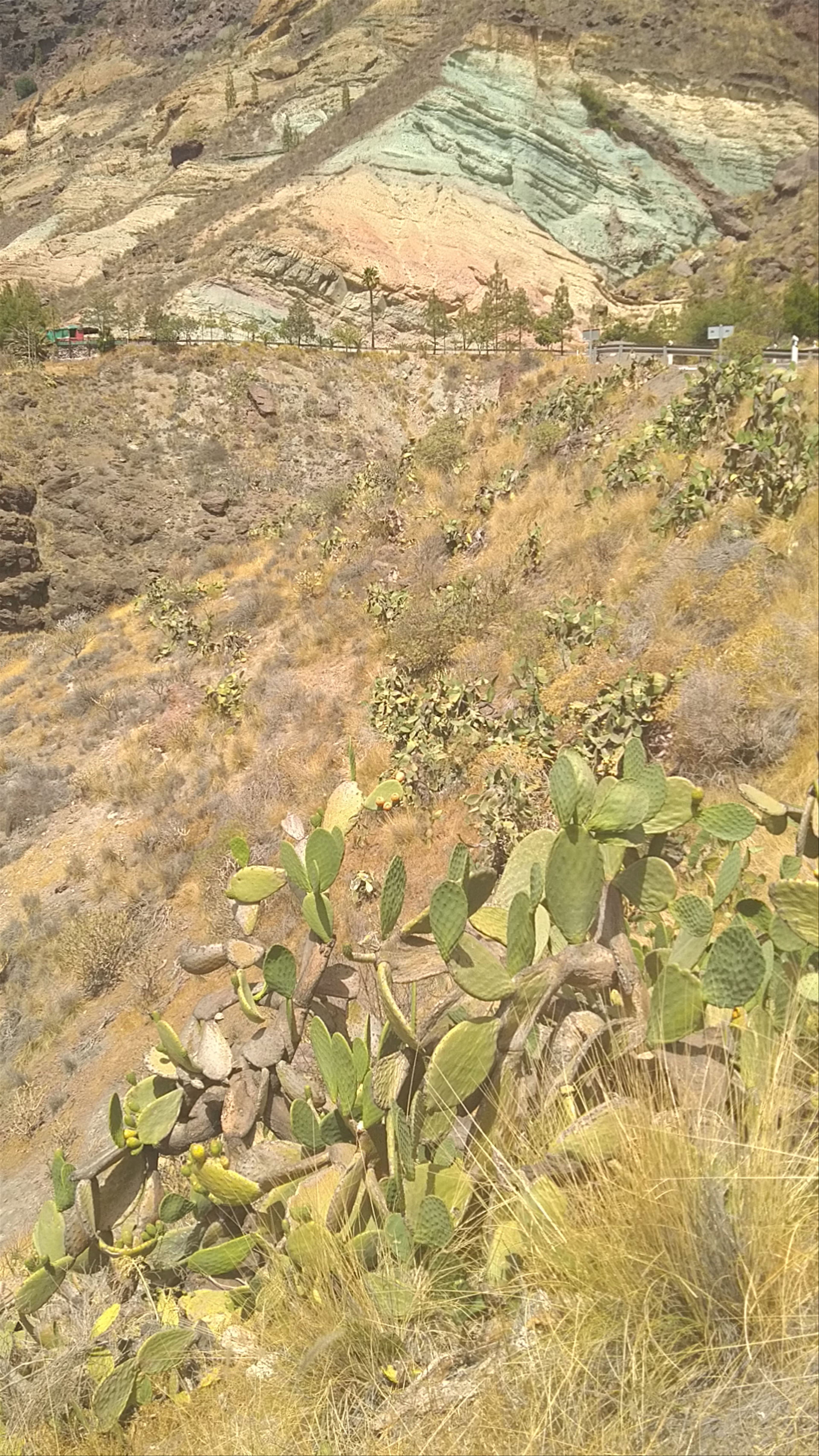 Fuente de los Azulejos