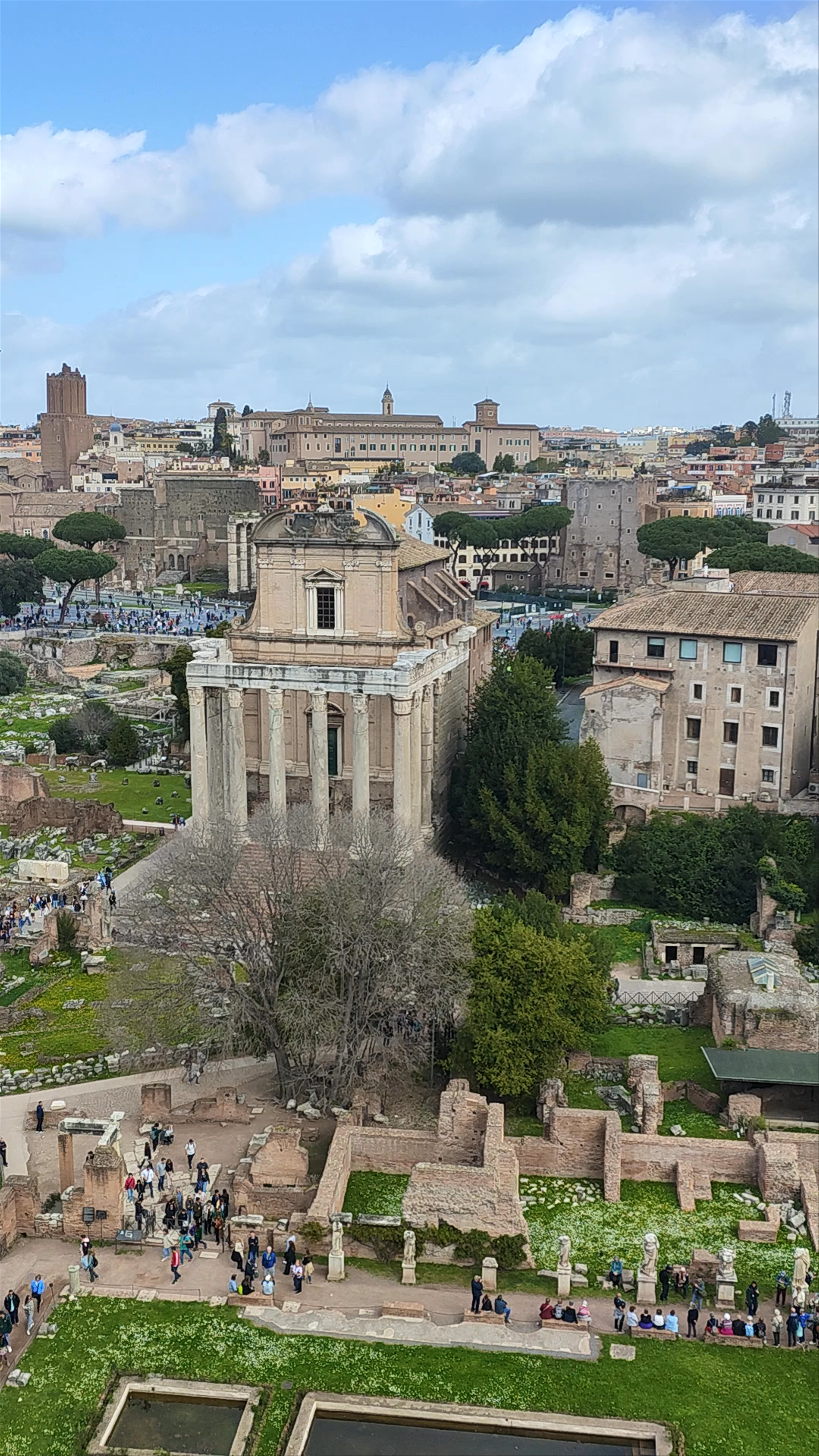 Palatino: Ancient Majesty and Panoramic Views of Rome