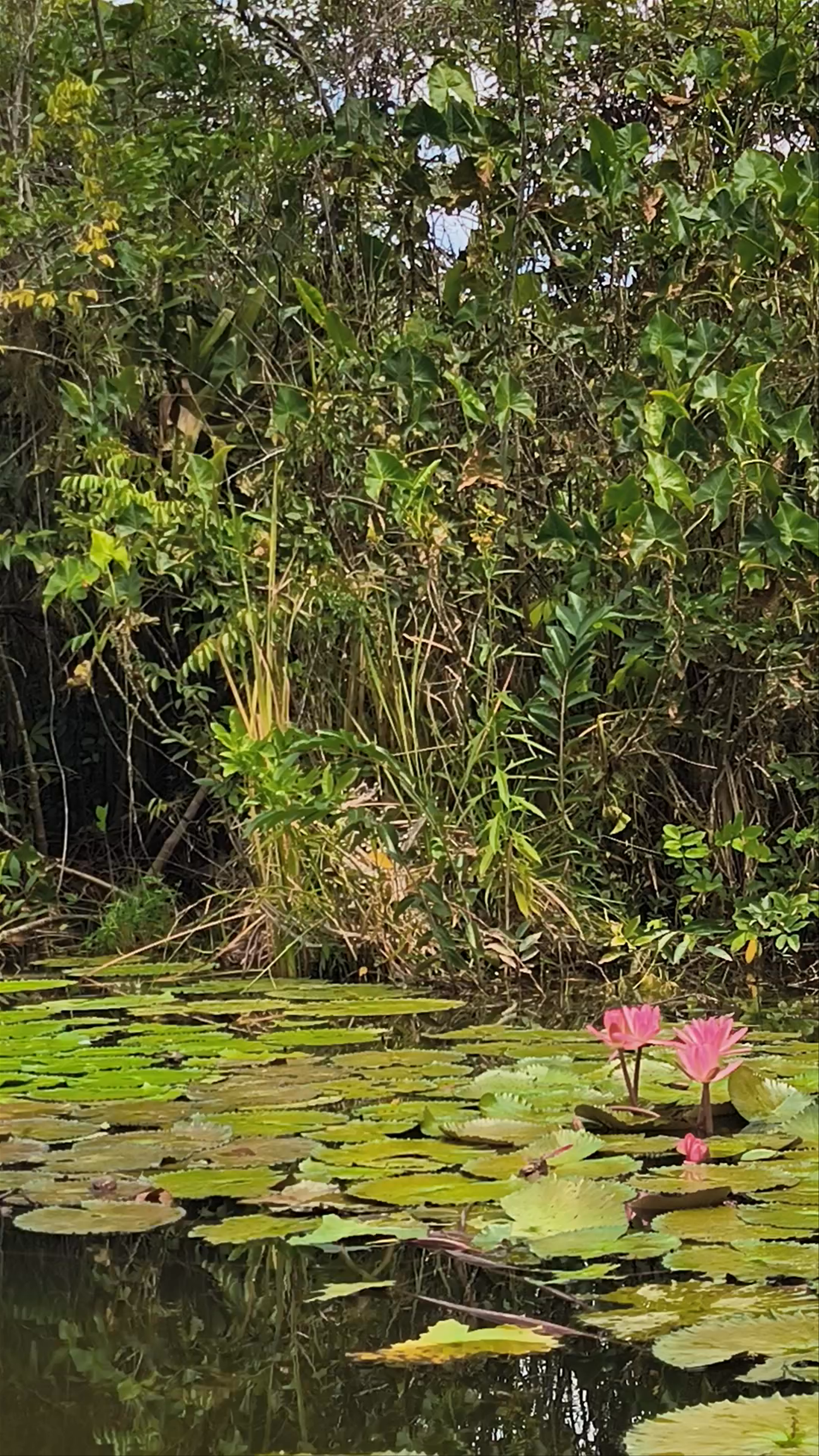 Parque Nacional del Rio Dulce