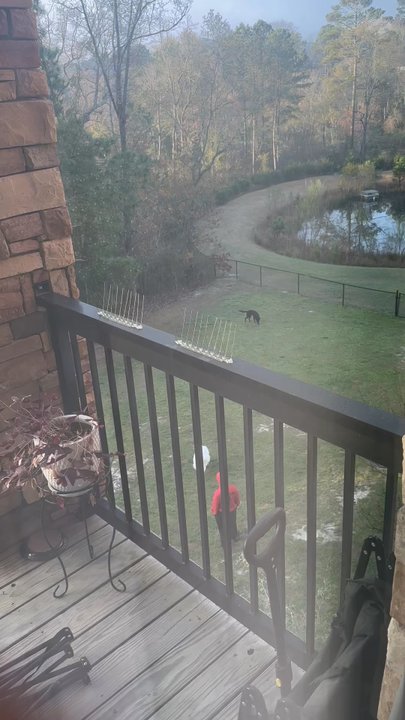 Addison Ridge - Loose dogs everywhere. Irresponsible pet owners - Apartments Near Me - Fayetteville, North Carolina