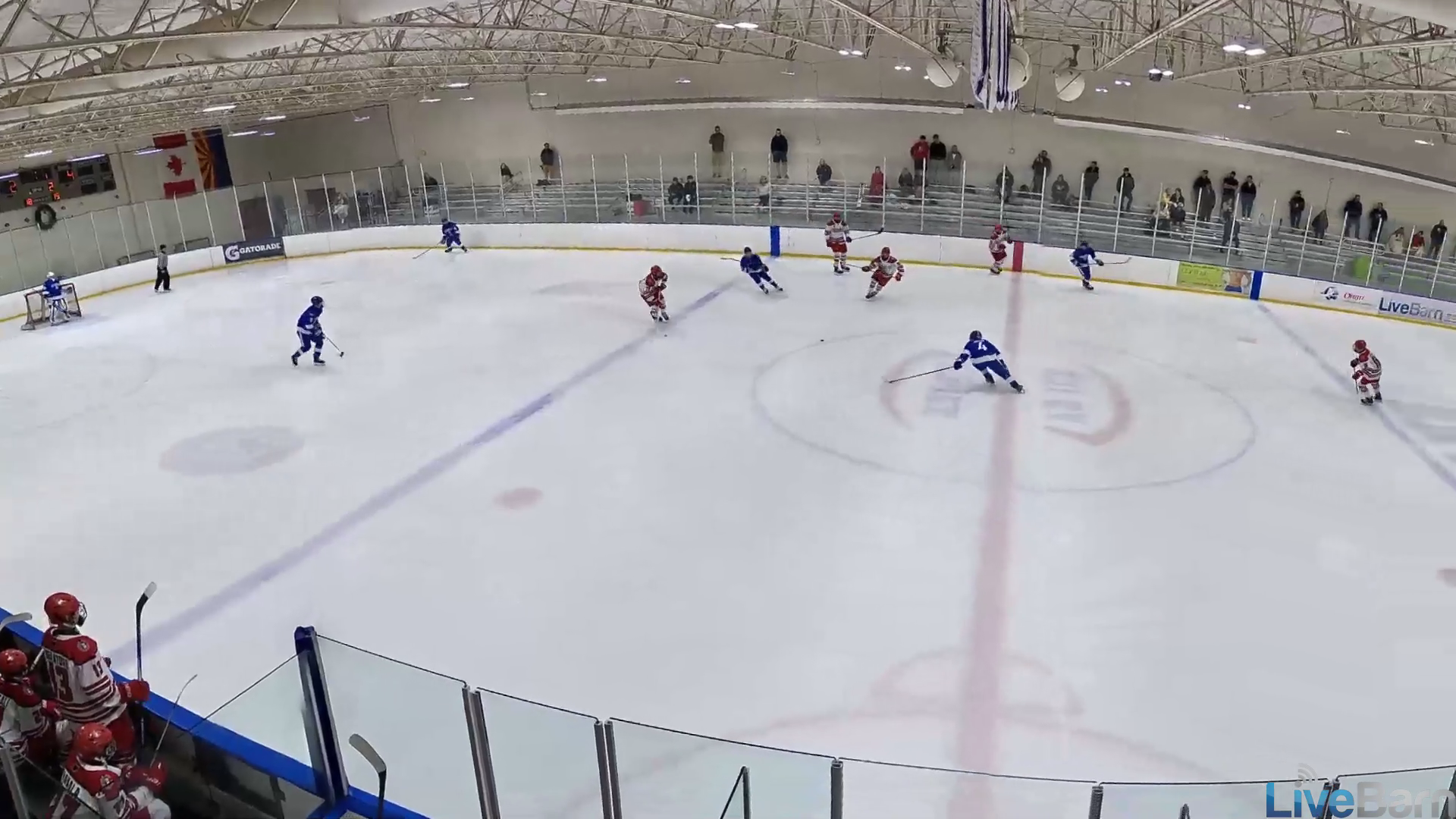 #17 all by himself