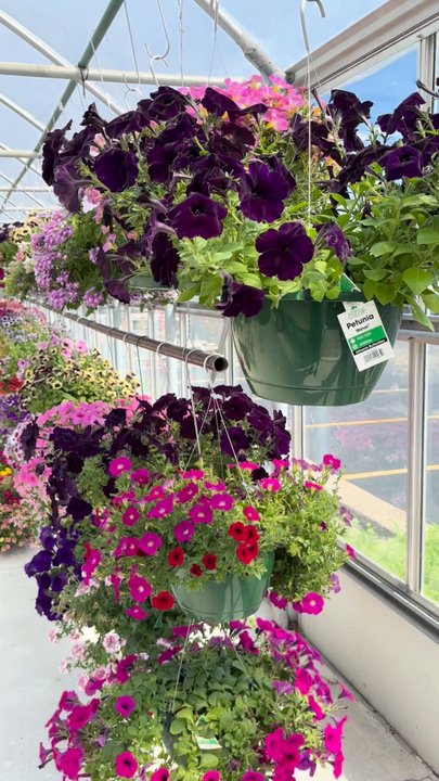 The Landscape Connection - The greenhouse at The Landscape Connection - Florists Near Me - Rockford, Illinois