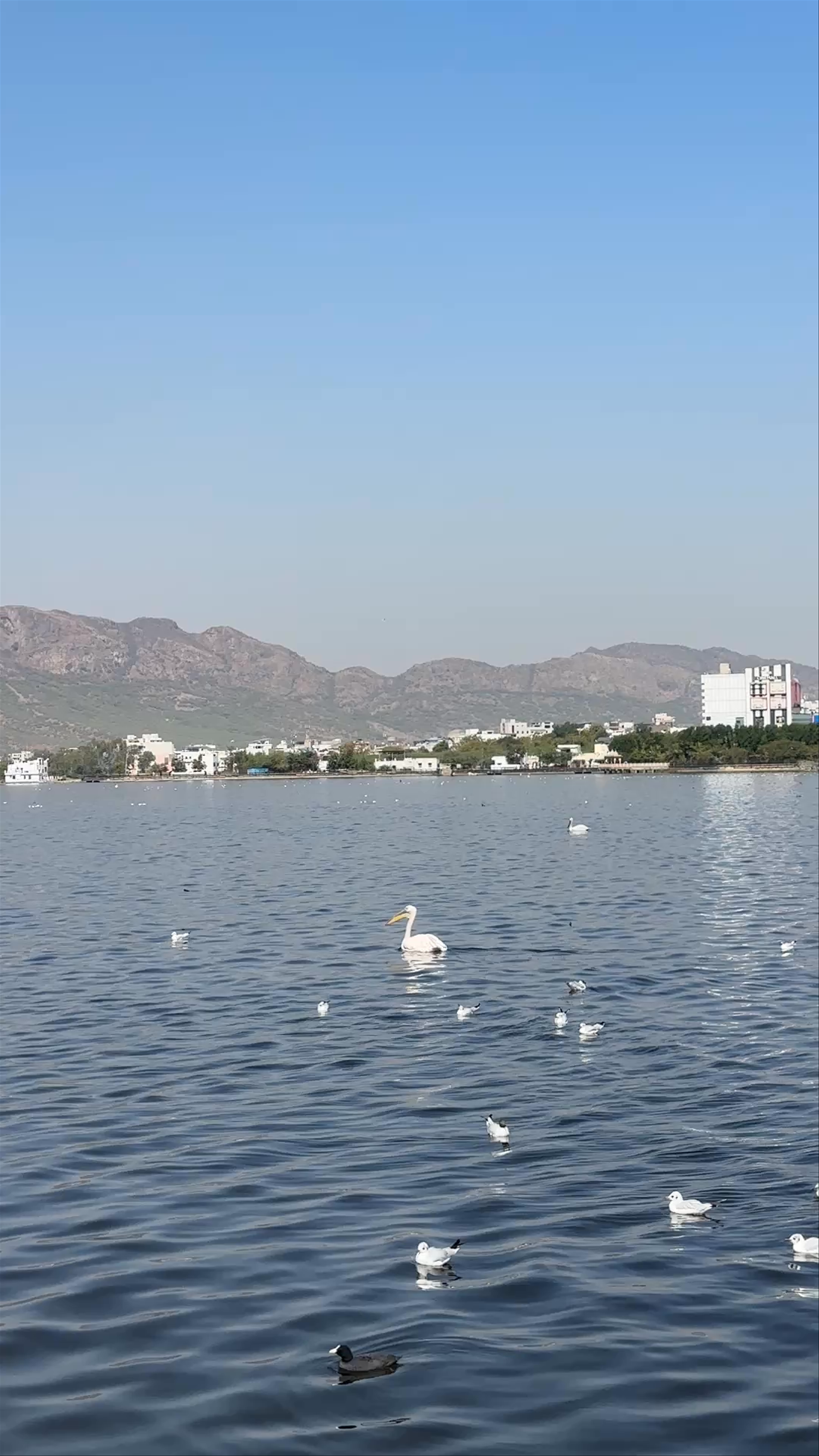 Anasagar Lake