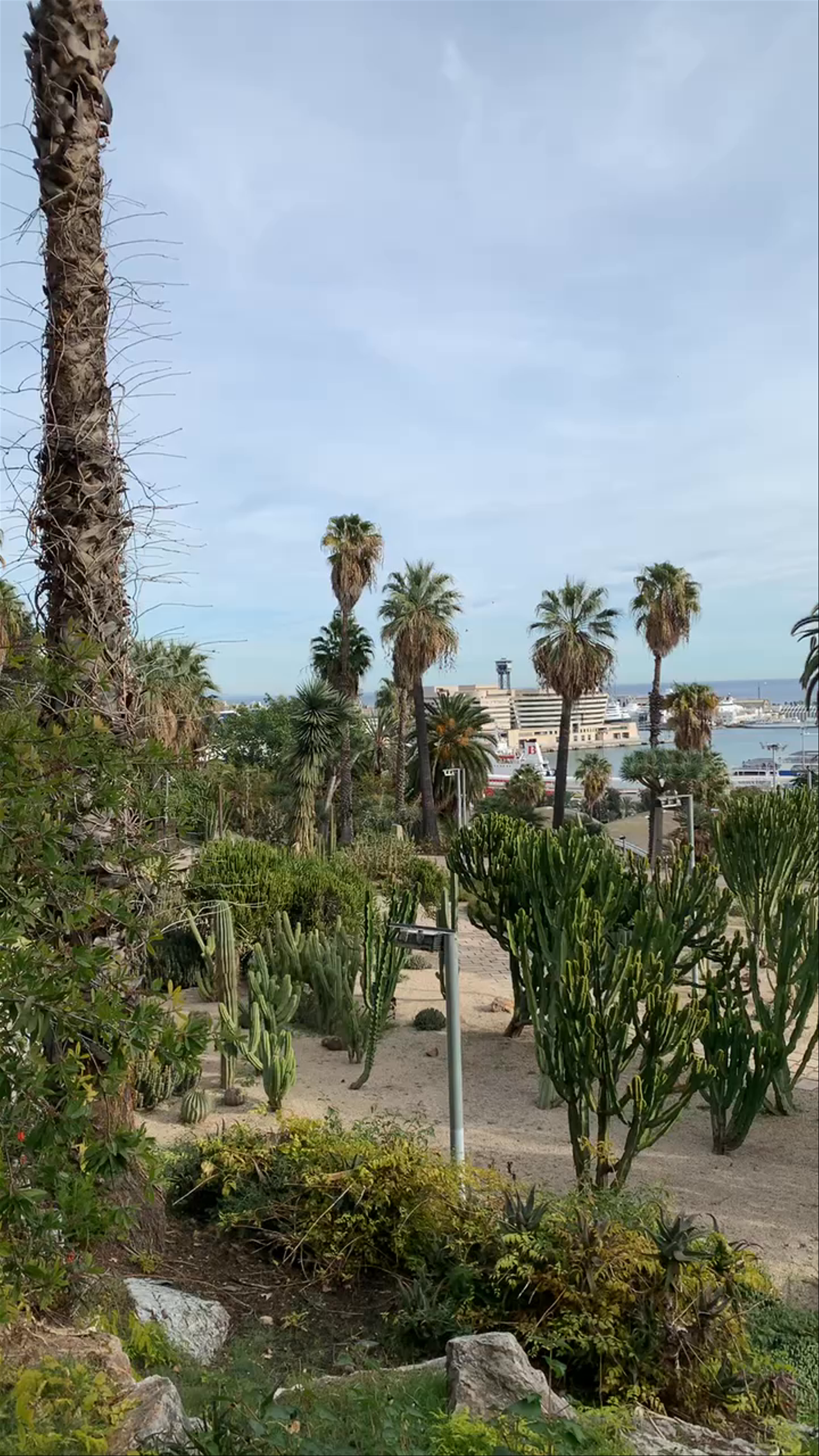 Giardini Mossèn Costa i Llobera: A Lush Oasis Overlooking Barcelona's Coast