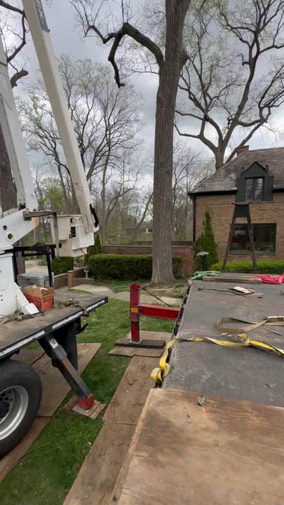 Anderson Arbor Care - Tree Services Near Me - Anderson, Indiana