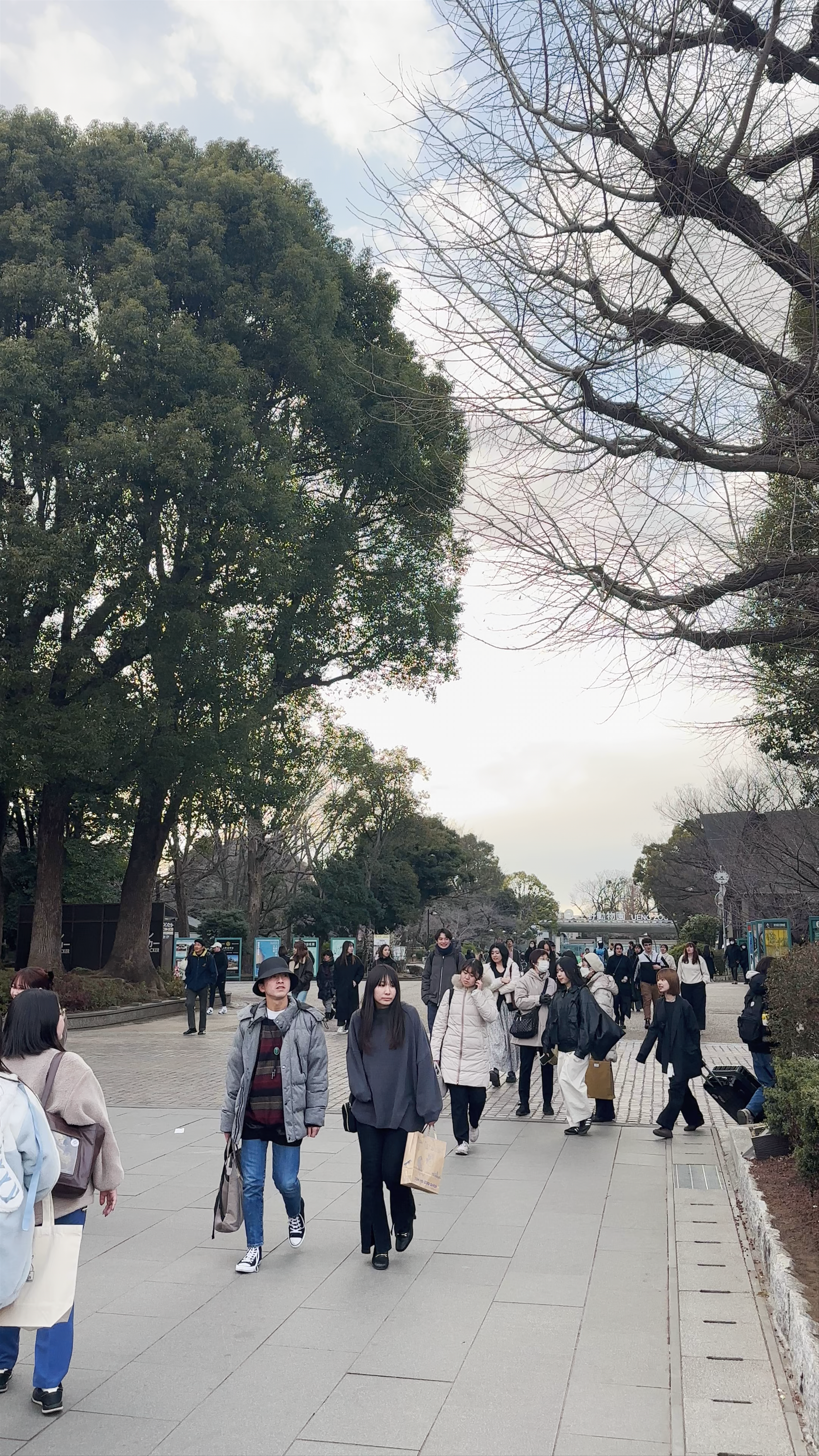 Ueno Park Winter Walkthrough in Tokyo