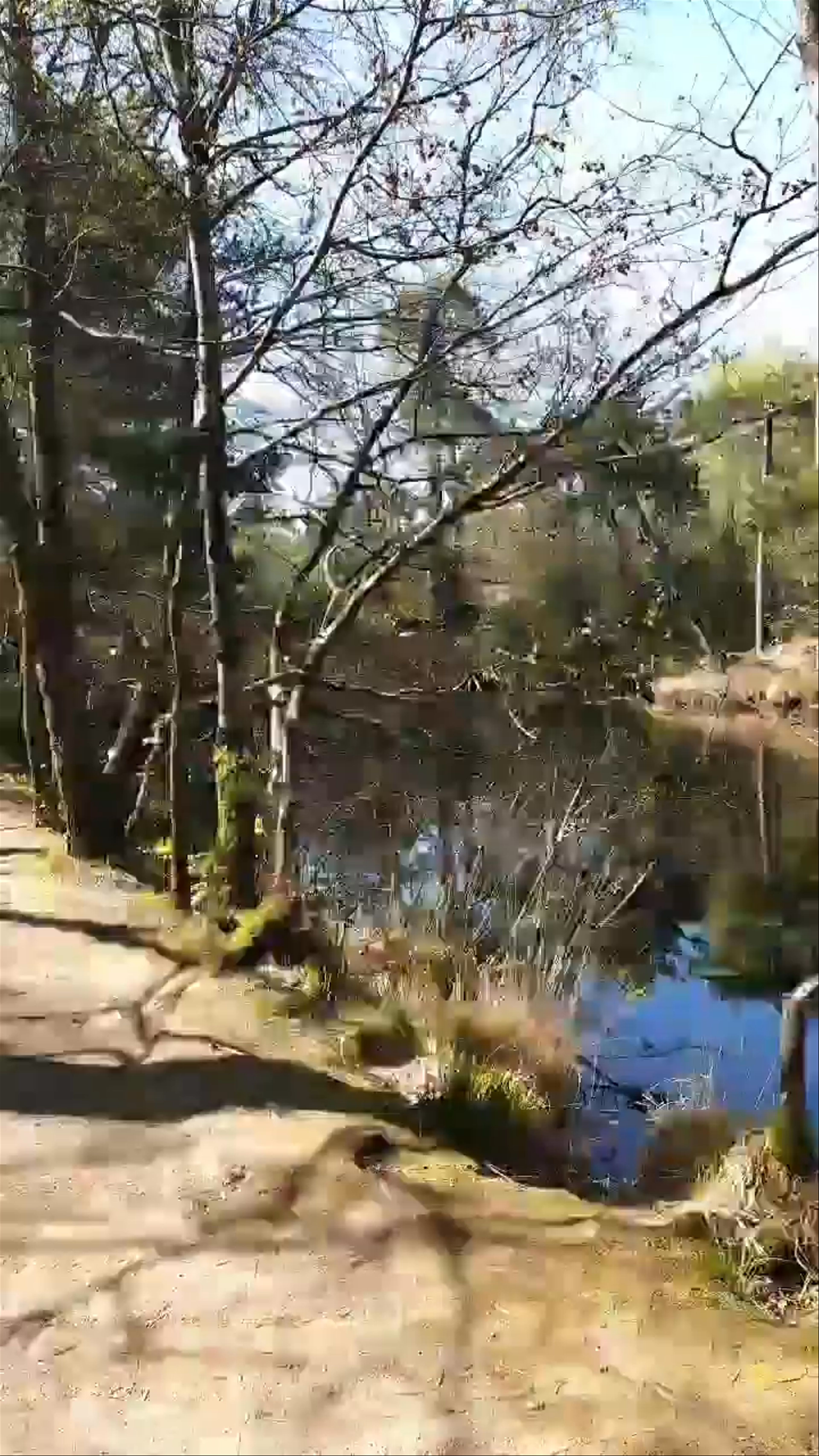 Bystock Pools