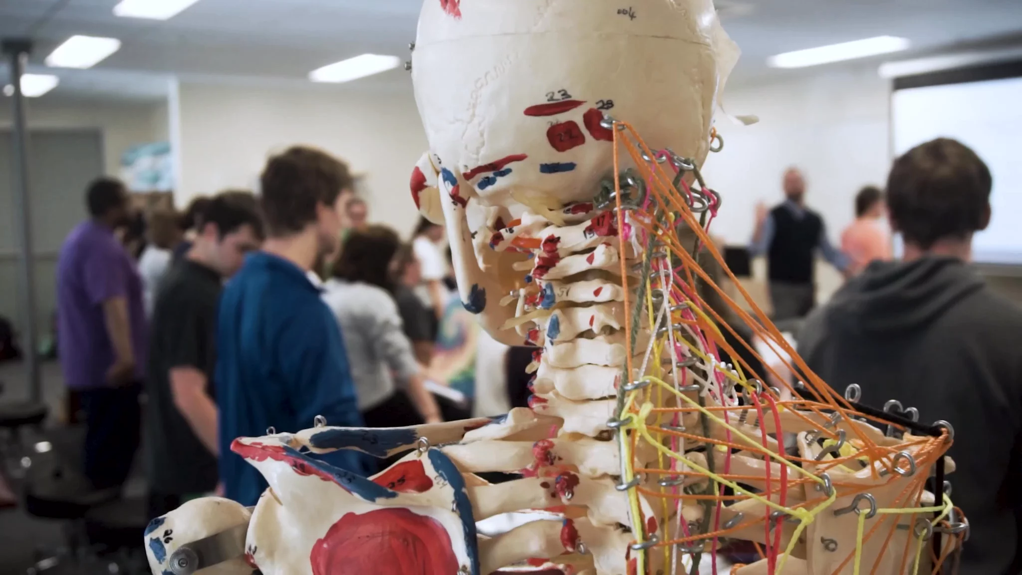 Transform Your Passion into a Career: Sports Medicine at Damon University!