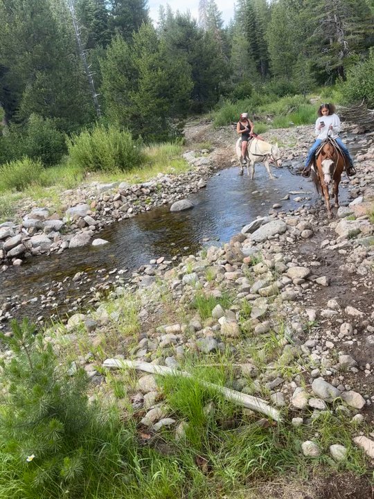 Alpine Meadows Stables - Crossing a majestic creek - Horseback Riding Near Me - Tahoe City, California