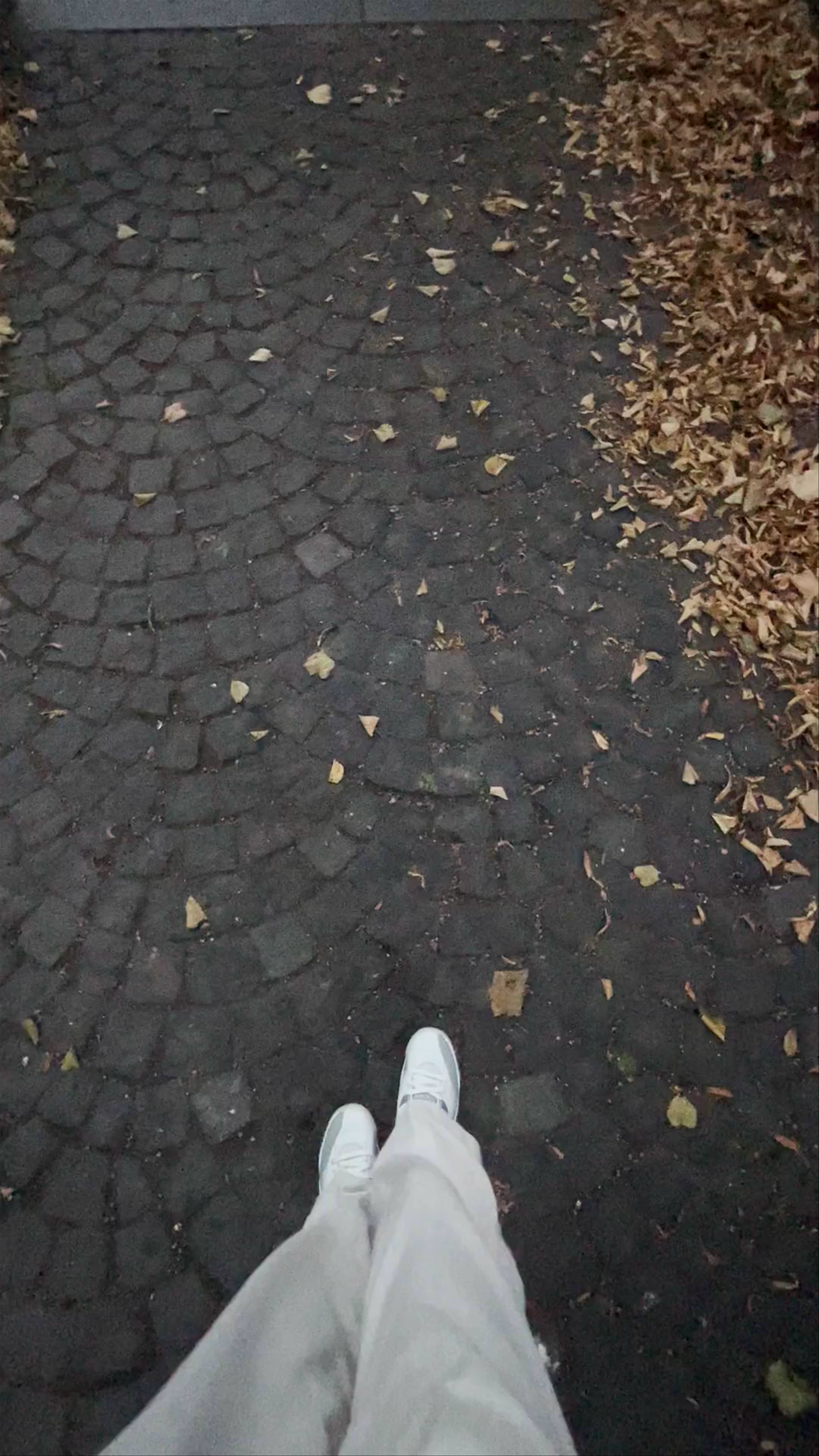 Strolling Through Kolmikulma Park in Helsinki's Urban Heart
