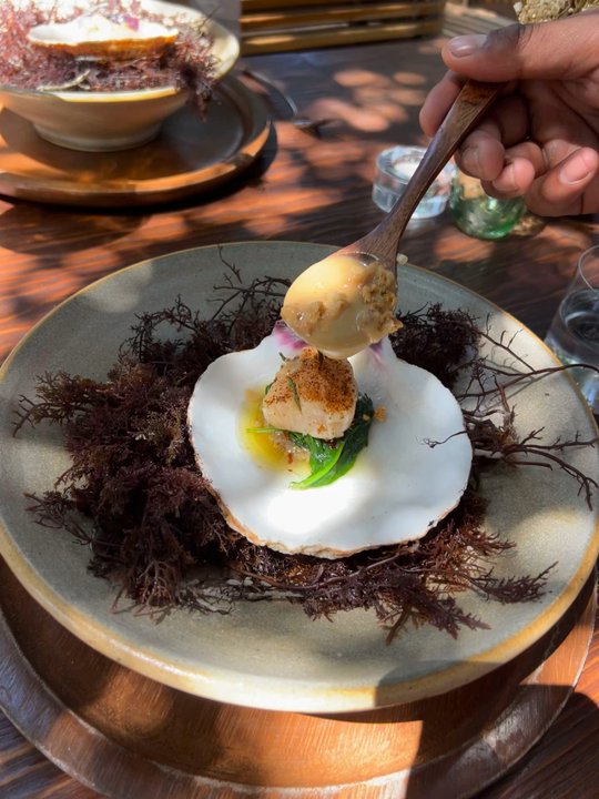 Animalón - Signature Cuisine Near Me - Ensenada, BCN