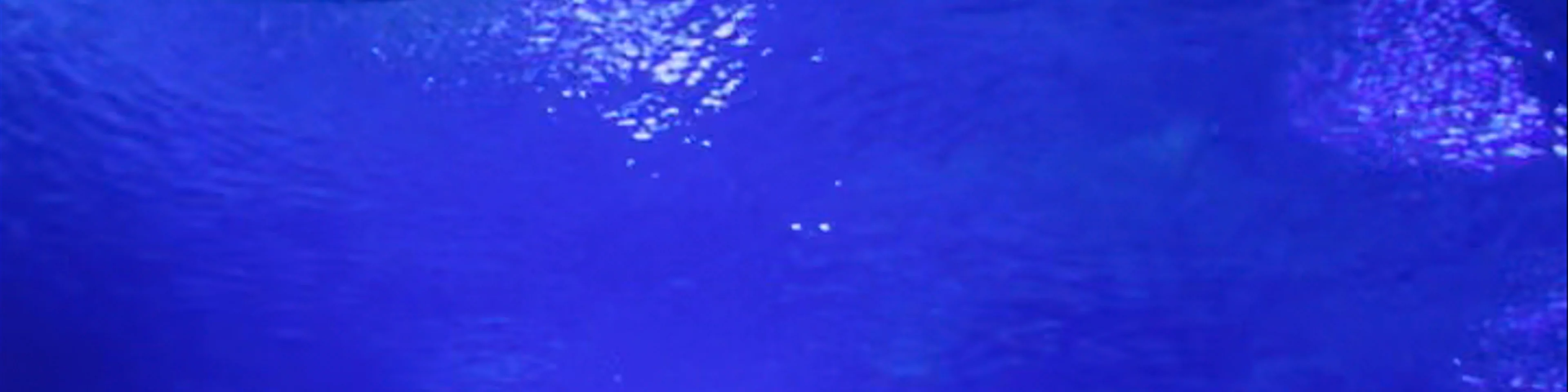 Oceanogràfic València