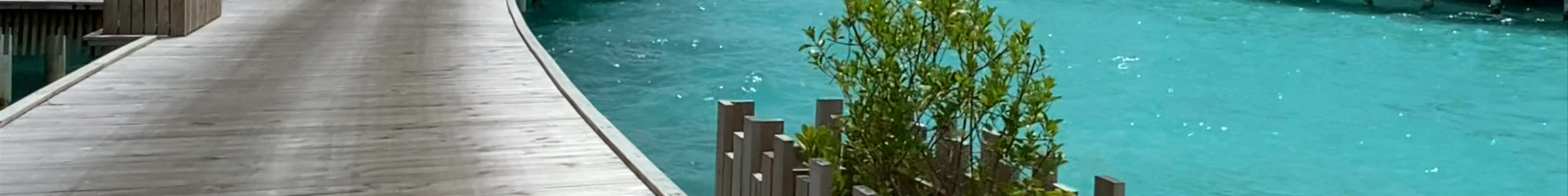 Tours & experiences in Maldives