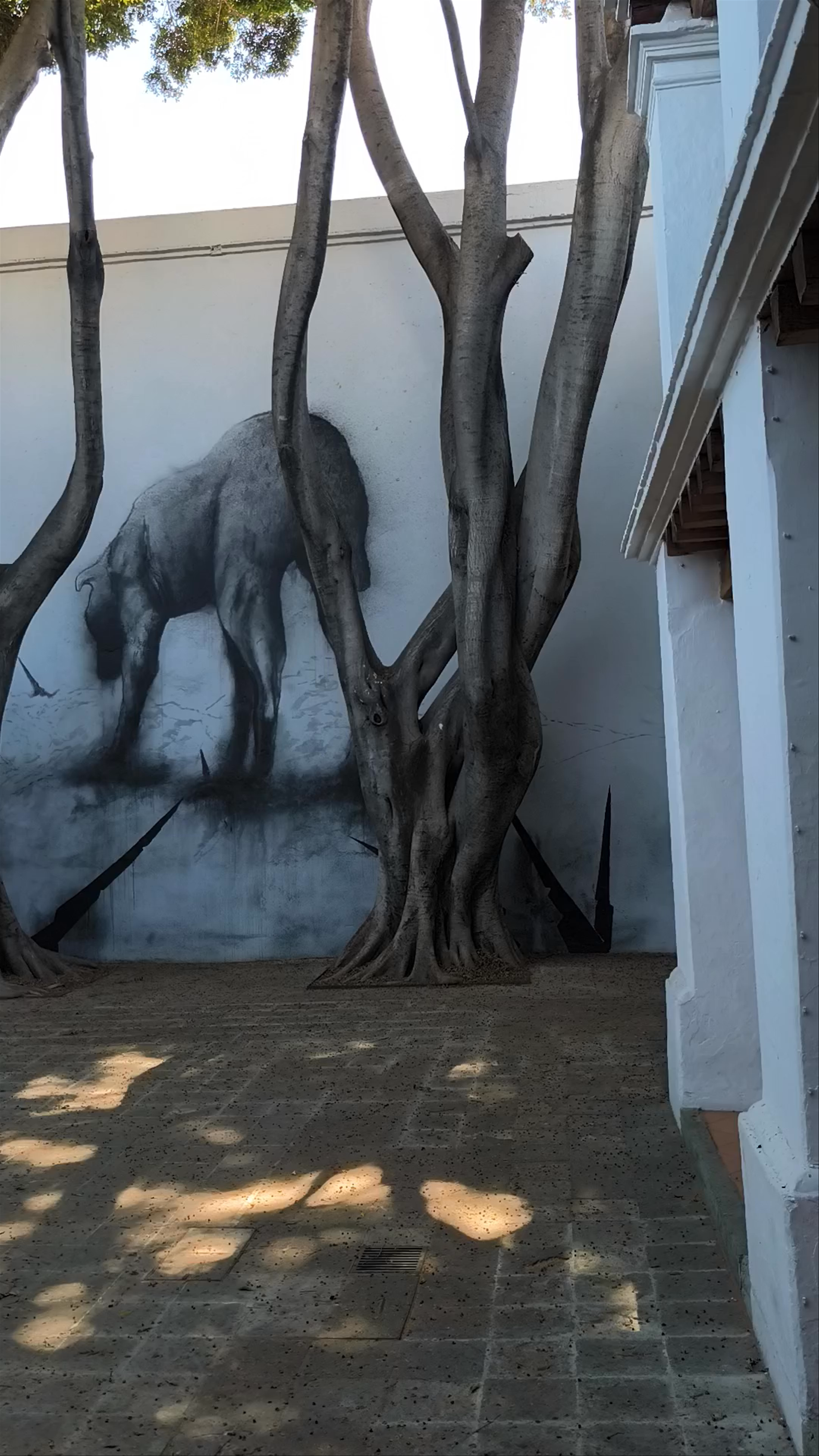 MACO Oaxaca: Contemporary Art and Cultural Stories