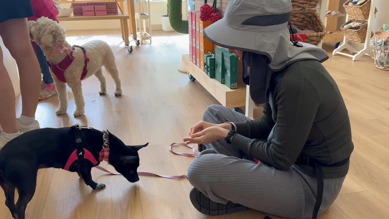 Doggee Club - Pet Stores Near Me - Pasadena, California