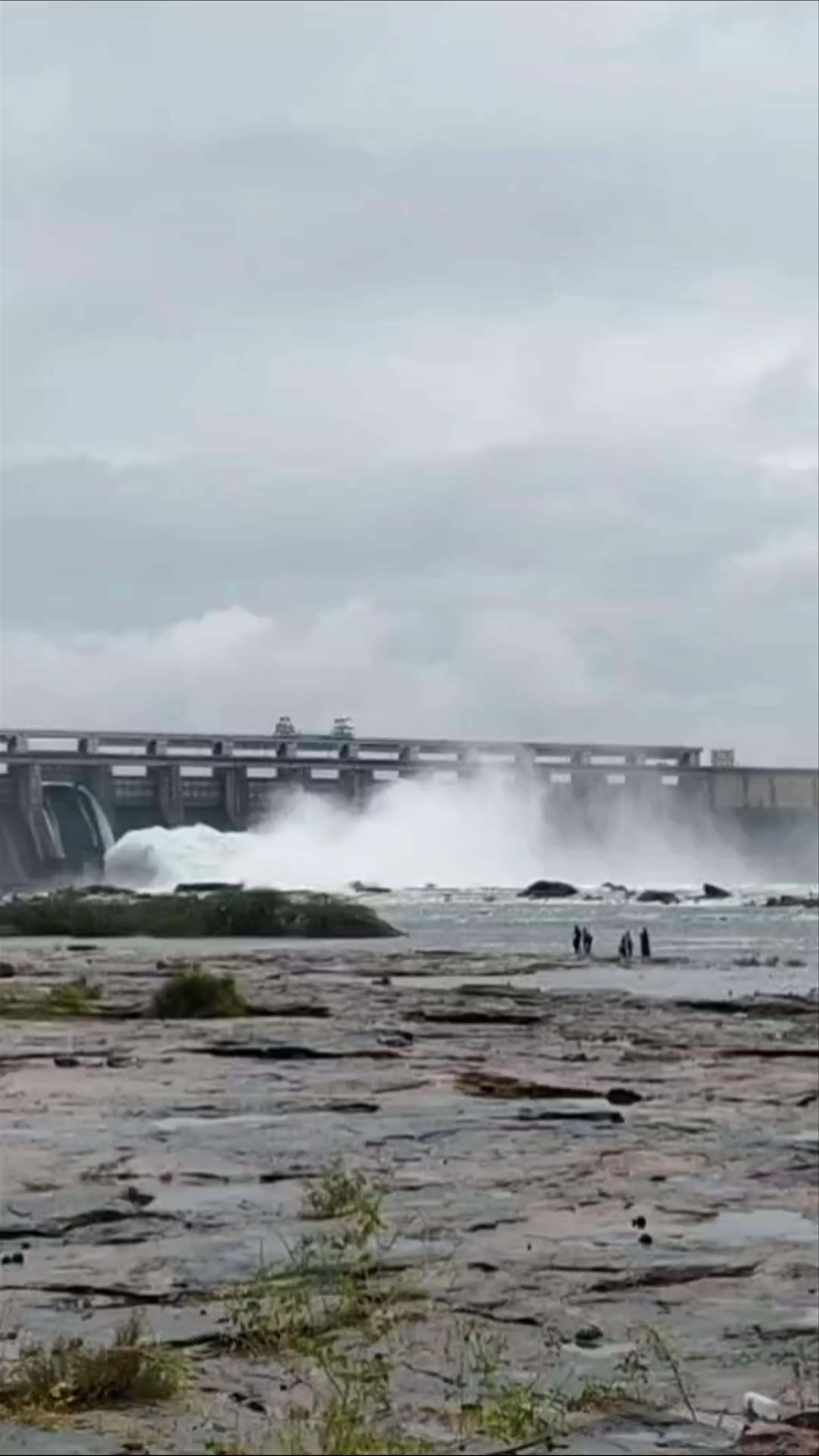 Rana Pratap Sagar Dam