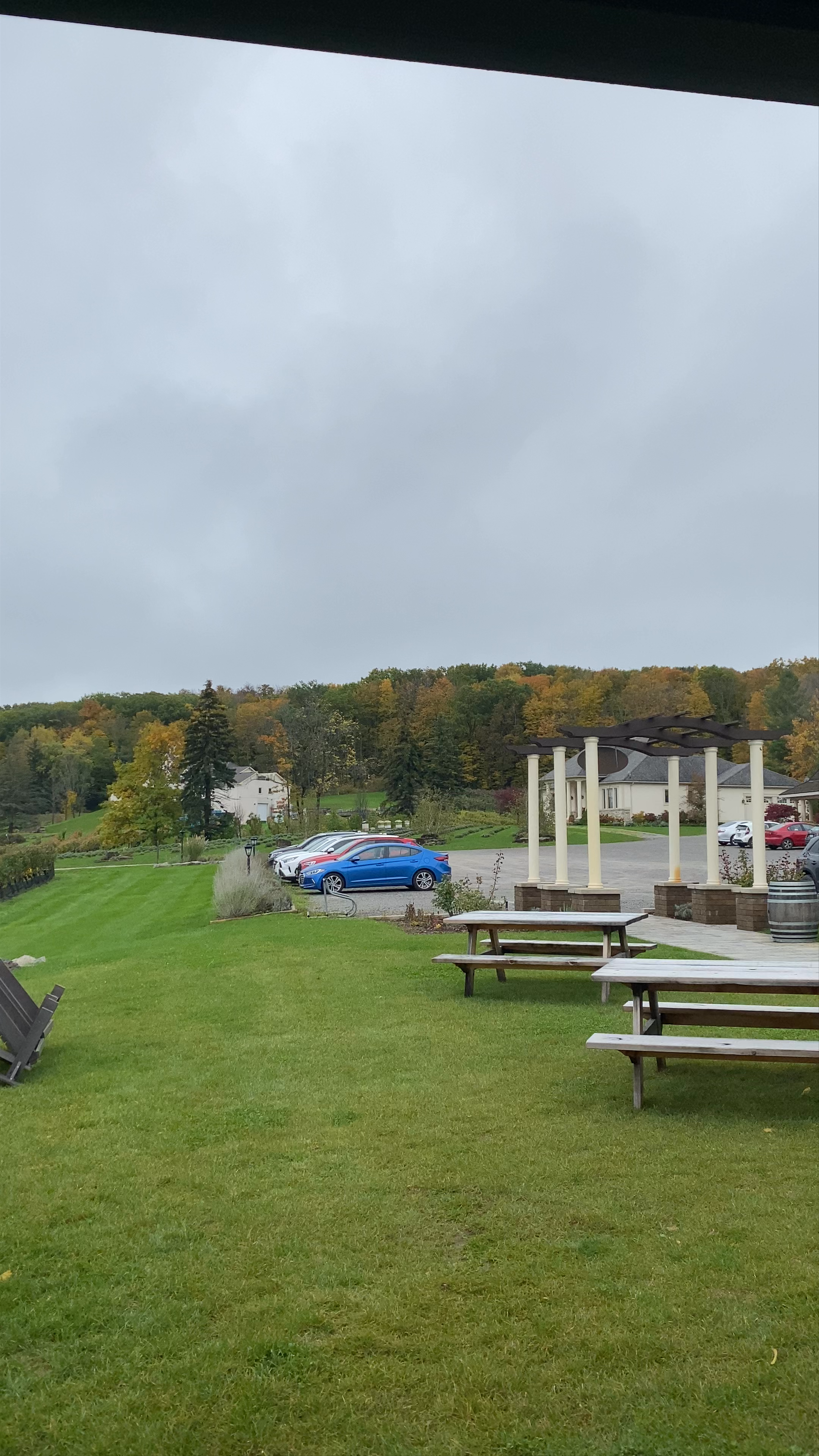 Rosewood Estates Winery: Autumn Serenity in Lincoln, Ontario