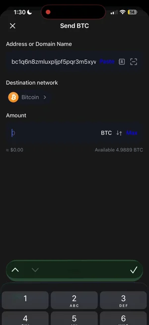 Trust Wallet walkthrough preview 2