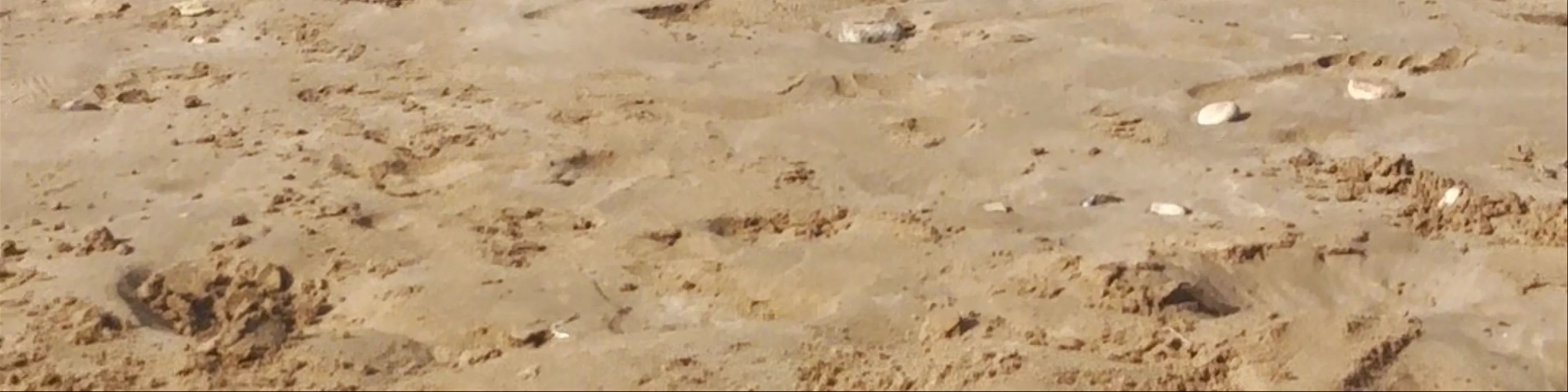 Plage Imourane