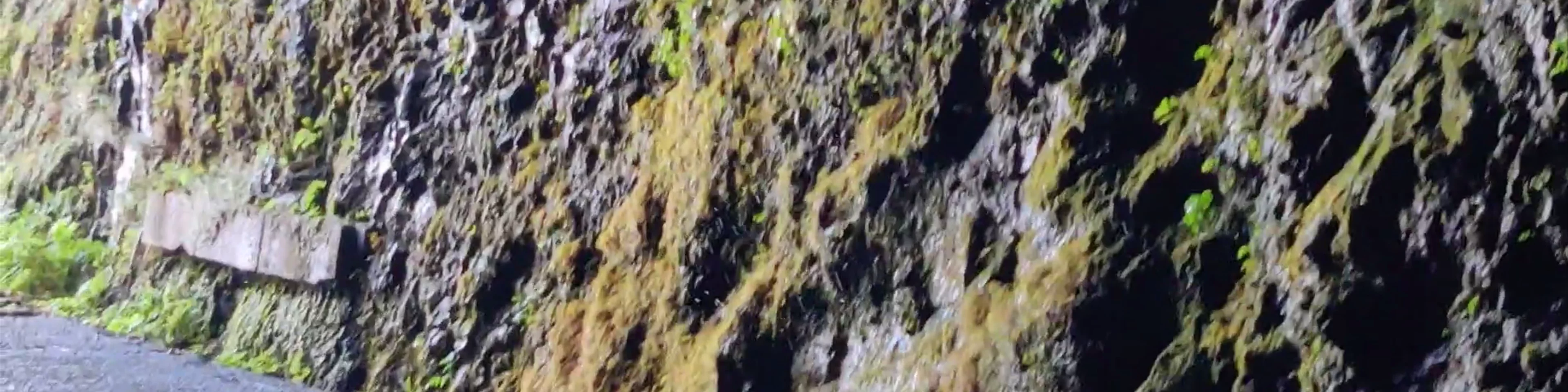 Ribeira do Inferno